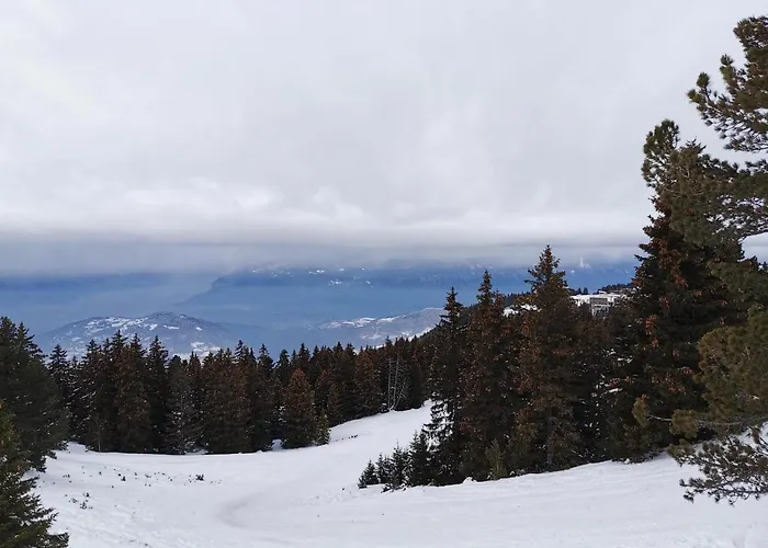 Studio Renove Chamrousse, Au Pied Des Pistes.