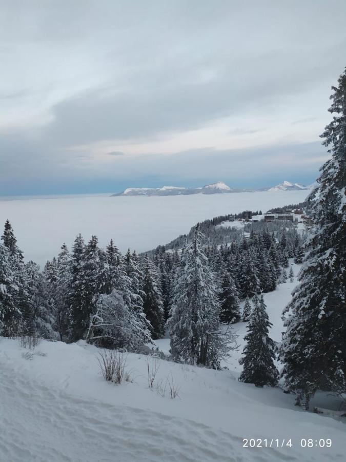 Renove Chamrousse, Au Pied Des Pistes. Apartment